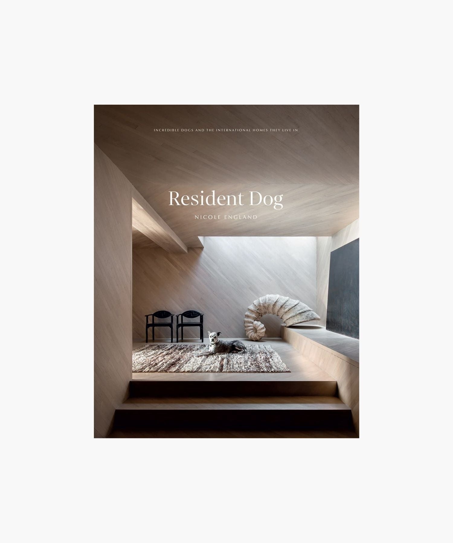 The cover of the book " Resident Dog" by Nicole England features a sleek modern interior features a relaxed dog on a textured rug, with minimalist decor and soft lighting, conveying a serene, elegant atmosphere. | Wildwood Home Co.