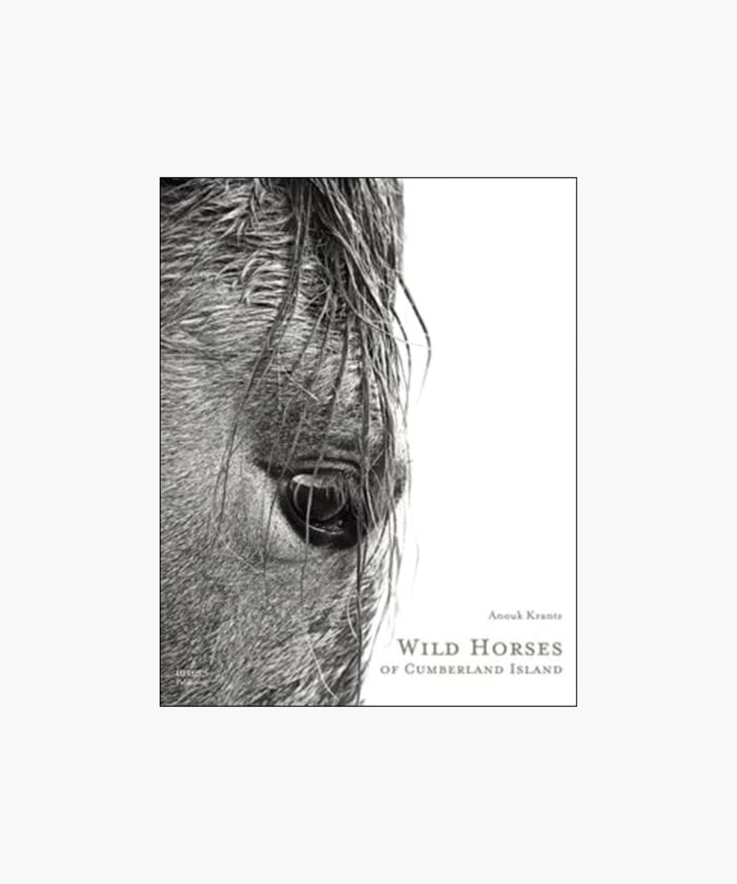 The cover of the book "Wild Horses of Cumberland Island" by Anouk Krantz features a close-up black-and-white photo of a horse's eye with its mane hanging down. The image exudes a serene and mysterious tone. | Wildwood Home Co.