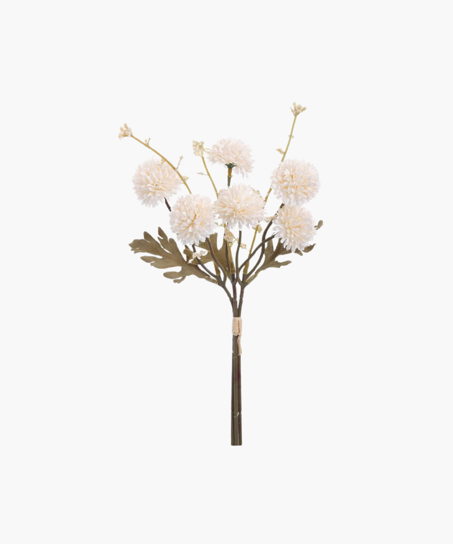 A bouquet of white mum flowers with green leaves and tall stems against a white background. The arrangement is simple and elegant, conveying a serene tone.