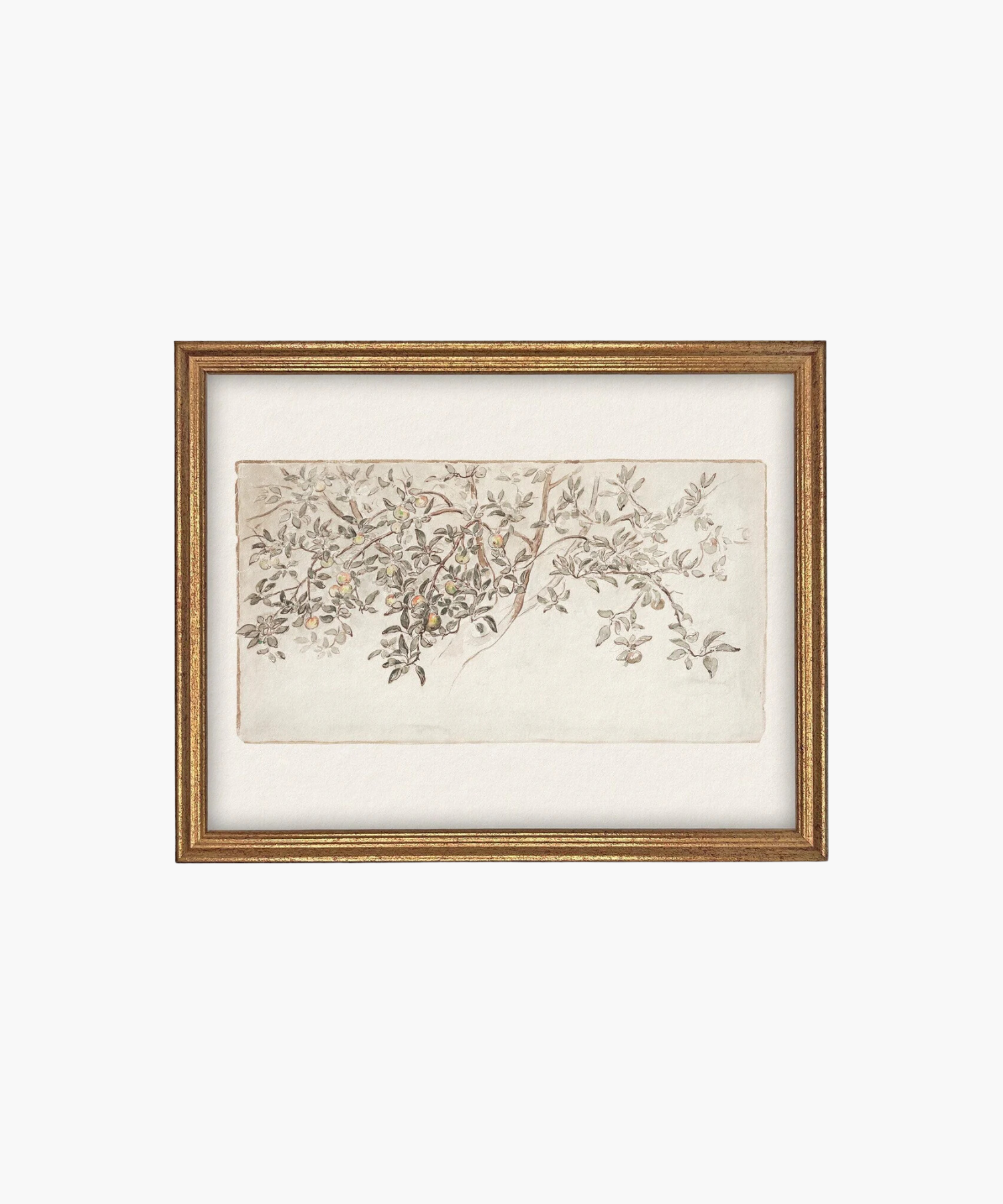An elegant painting of a leafy branch with small fruits, delicately sketched in soft colors. Framed in ornate gold, it conveys a serene, organic vibe. | Wildwood Home Co.