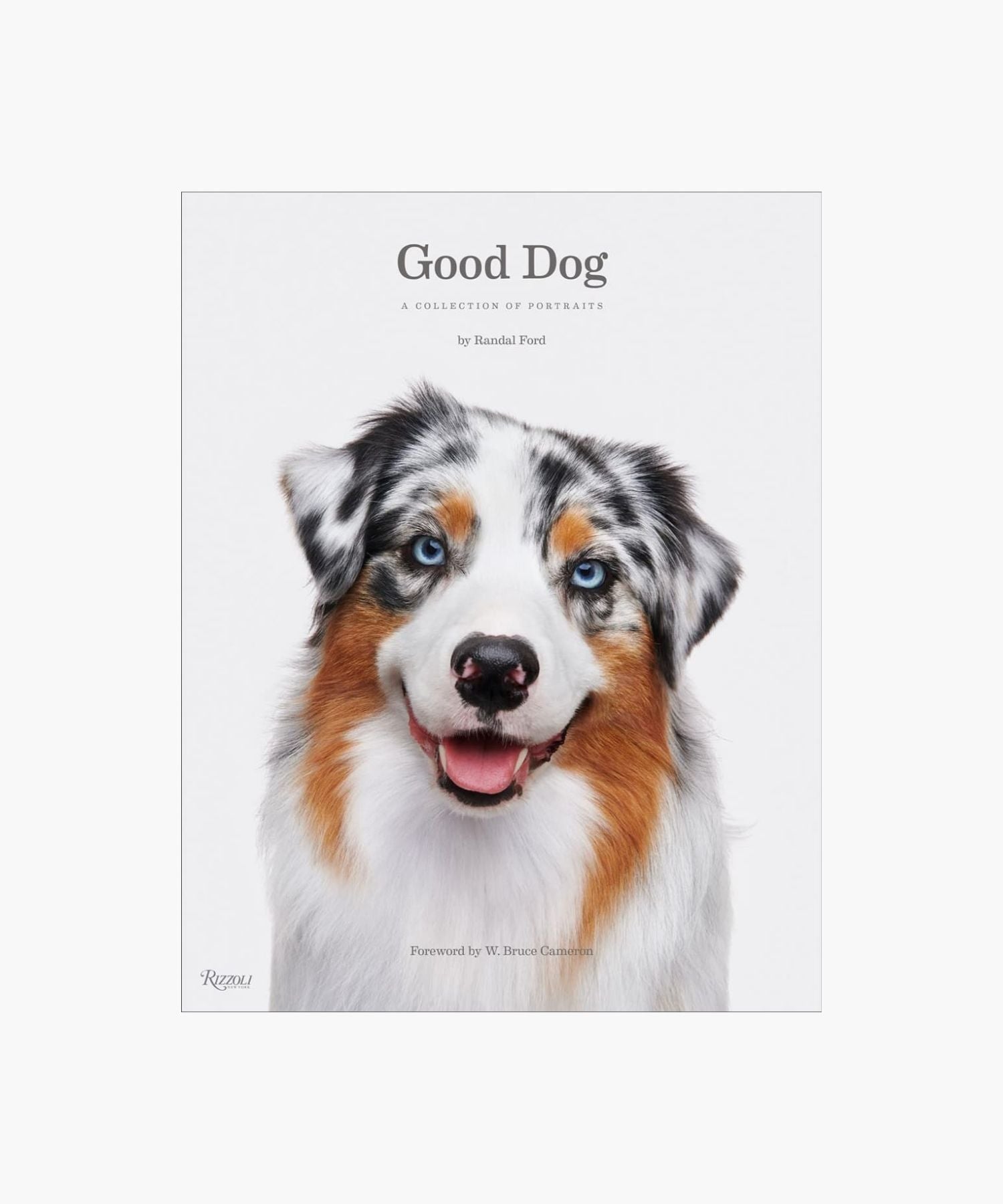 The cover of "Good Dog" by Randal Ford featuring a close-up of a happy Australian Shepherd with blue eyes and a multicolored coat. Bright, joyful tone. | Wildwood Home Co.
