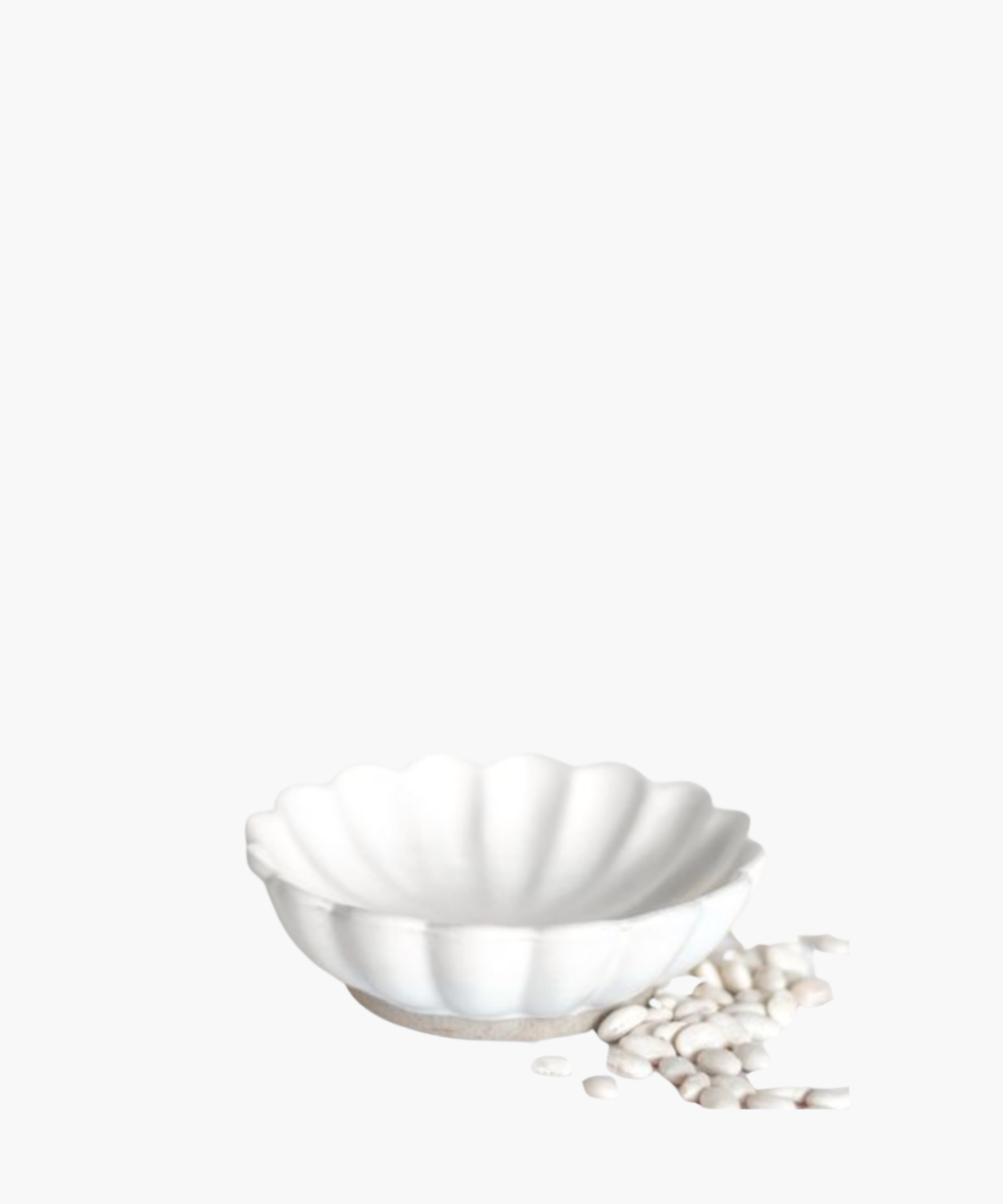 A white, scalloped ceramic bowl rests on a flat surface with a small pile of white beans beside it. The scene conveys simplicity and elegance.