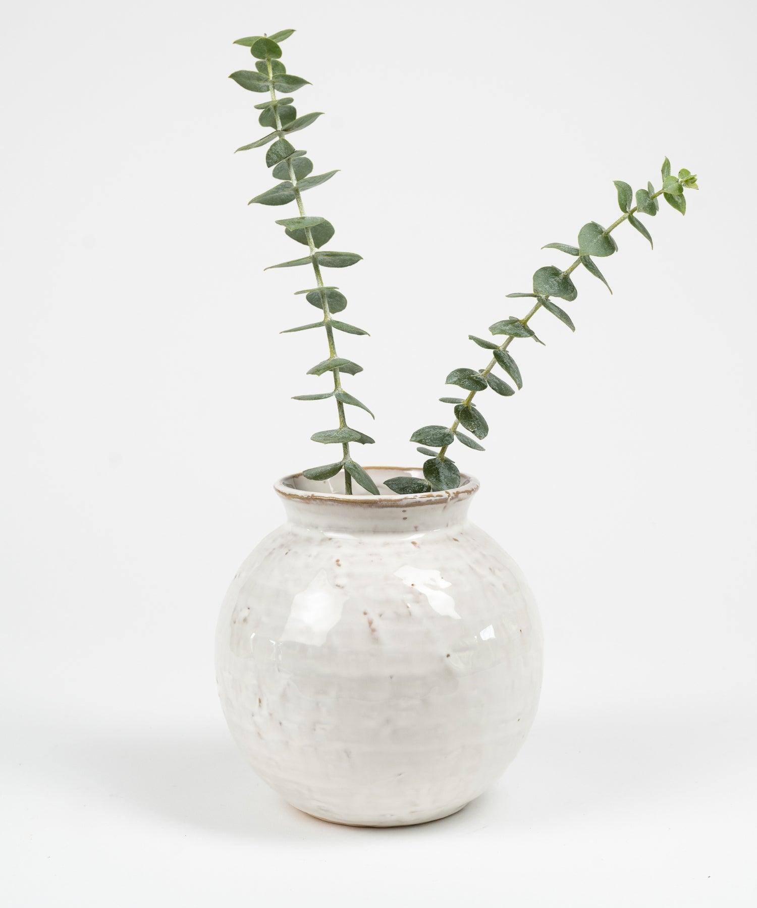 Round ceramic vase with a textured white glaze, holding two stems of green eucalyptus against a plain white background, creating a minimalist and serene tone. | Wildwood Home Co.
